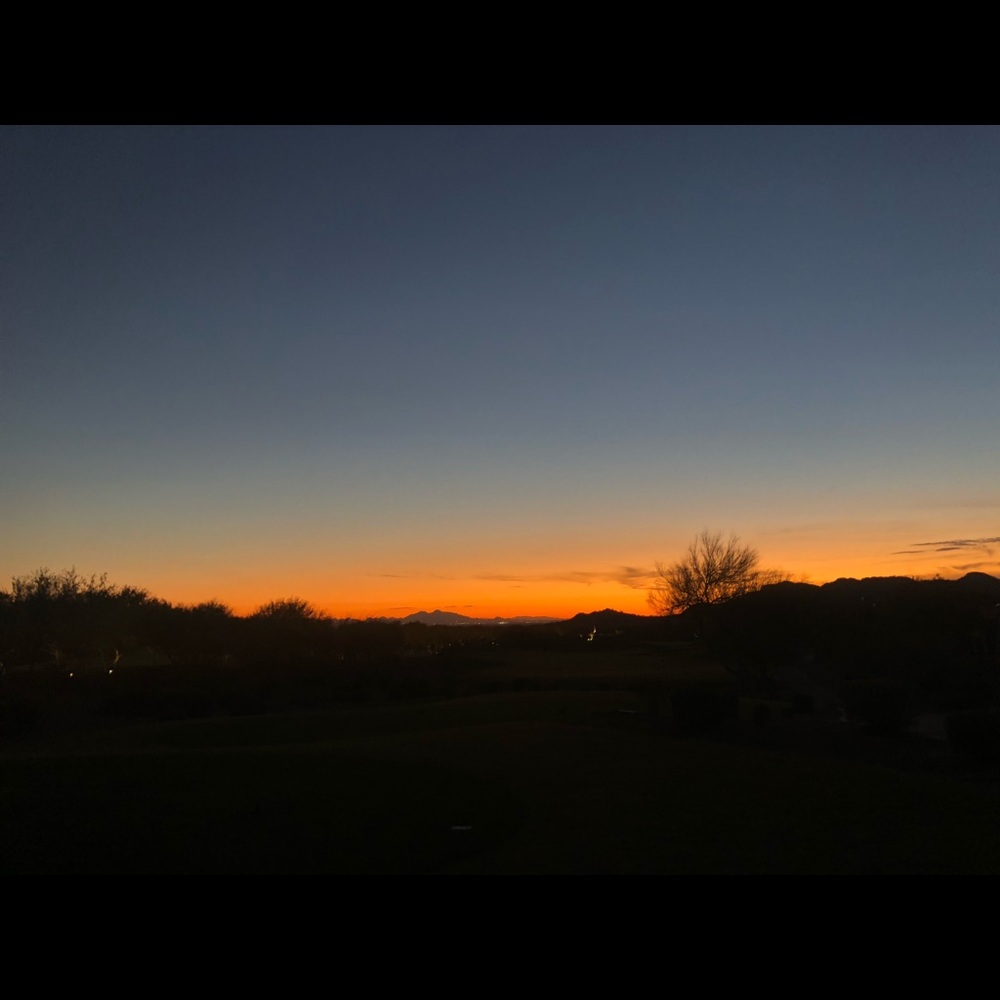 Meet your Posher, Reagan